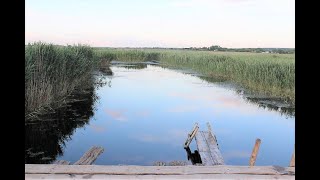 Современное состояние реки Богучарка от истока до устья.