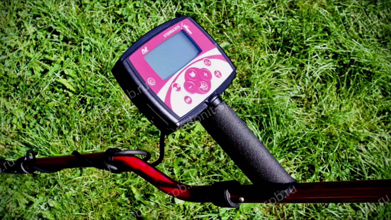 Minelab x terra 305