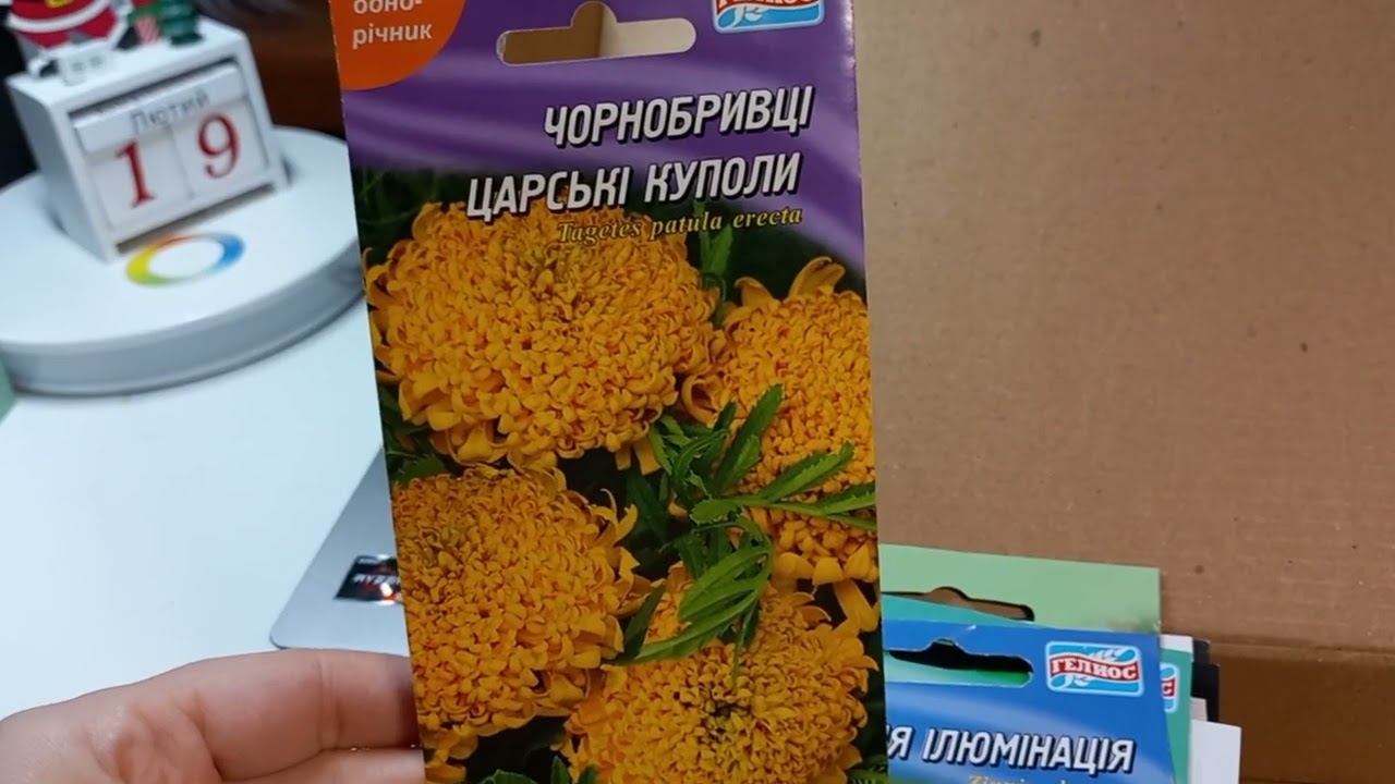 Яке насіння обрала на сайті Семпочта 