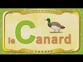 Multipédia des animaux. La lettre C - le Canard