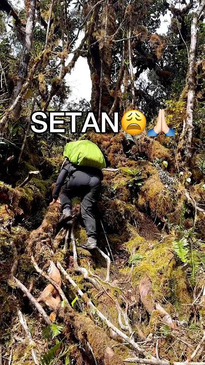 HORROR BANGET! LEBIH SEREM DARI SETAN 😱 HARIMAU LEUSER 😱 #leuser #gunung #pendaki