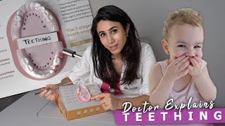 Everything You Need to Know About Baby Teething | Symptoms, Signs and Relief 🦷