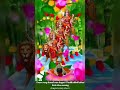 Jay Mata Di