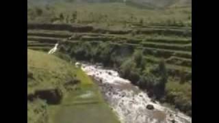 Mandry ve ny ao an-tanàna- Cludegeorges
