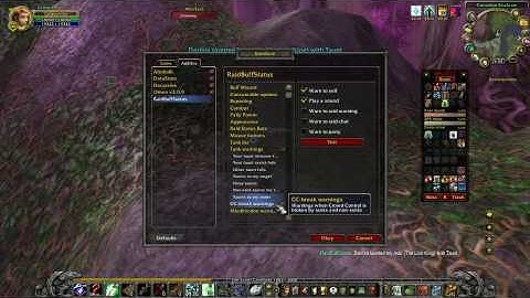 RaidBuffStatus Addon Configuration Options