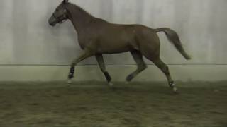 Lot 02