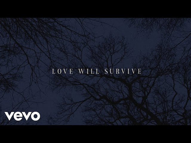 Barbra Streisand - Love Will Survive