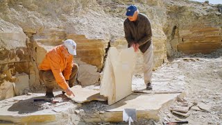 How Long Does It Take to Bury & Fossilize a Fish? | Mountains After the Flood | Is Genesis History?