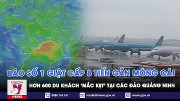 Ứng phó bão: Bão số 1 giật cấp 8 tiến gần Móng Cái,hơn 600 du khách ‘mắc kẹt’ tại các đảo Quảng Ninh