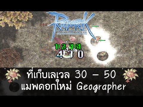 Ragnarok Exe ที่เก็บเลเวล 30 - 50 : Geographer แมพดอกใหม่ ไม่มีตัวกวน | Kamonway