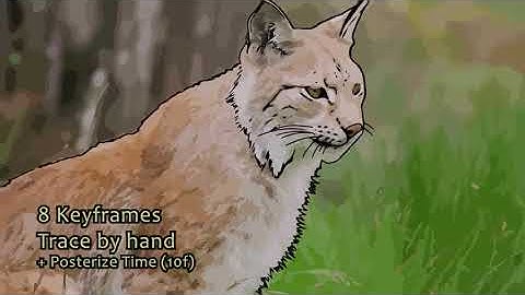 TEST EBSYNTH  September 2021 TESTS