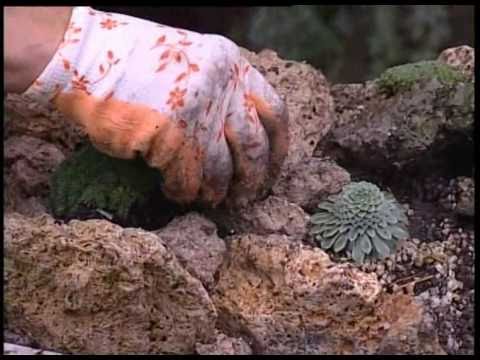 Video: Ako Postaviť Skalku Na Záhrade, Výsadbu Rastlín V špeciálnych Zónach, Borievky - 2