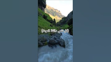 القرآن الكريم راحه نفسيه #عبدالرحمن_مسعد_تلاوة_جديدة #عبدالرحمن_مسعد #الرحمن #المصحف #راحة_نفسية