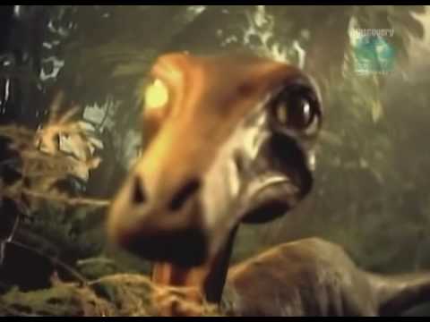 Video: „Humanoido“dinozauro Troodono Mįslė - Alternatyvus Vaizdas