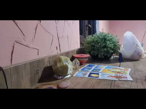 გამოჩნდება თუ არა თქვენს ცხოვრებაში ახალი პარტნიორი.