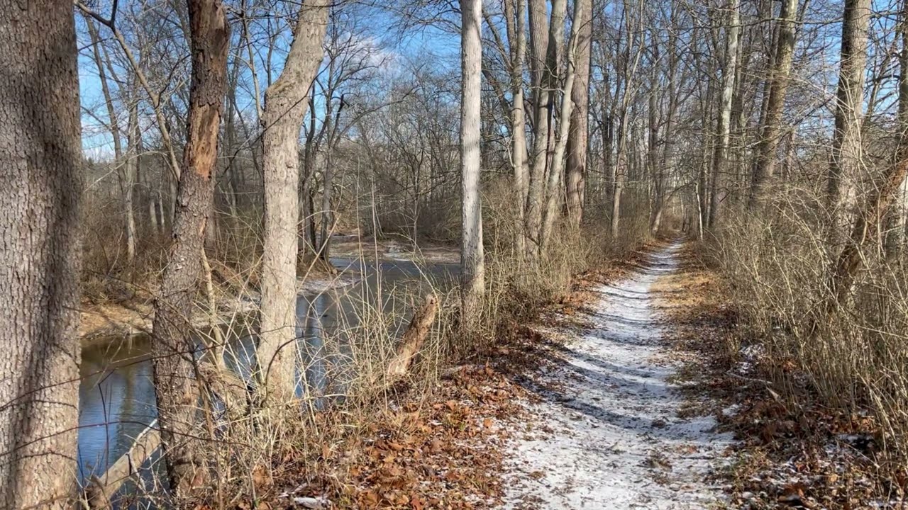 4 Hours of Winter Sun & Flowing Stream ❄️ | Gentle Water Sounds for Rest