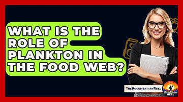 What Is The Role Of Plankton In The Food Web? - The Documentary Reel