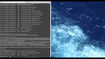 Using Profile Manager from Firefox