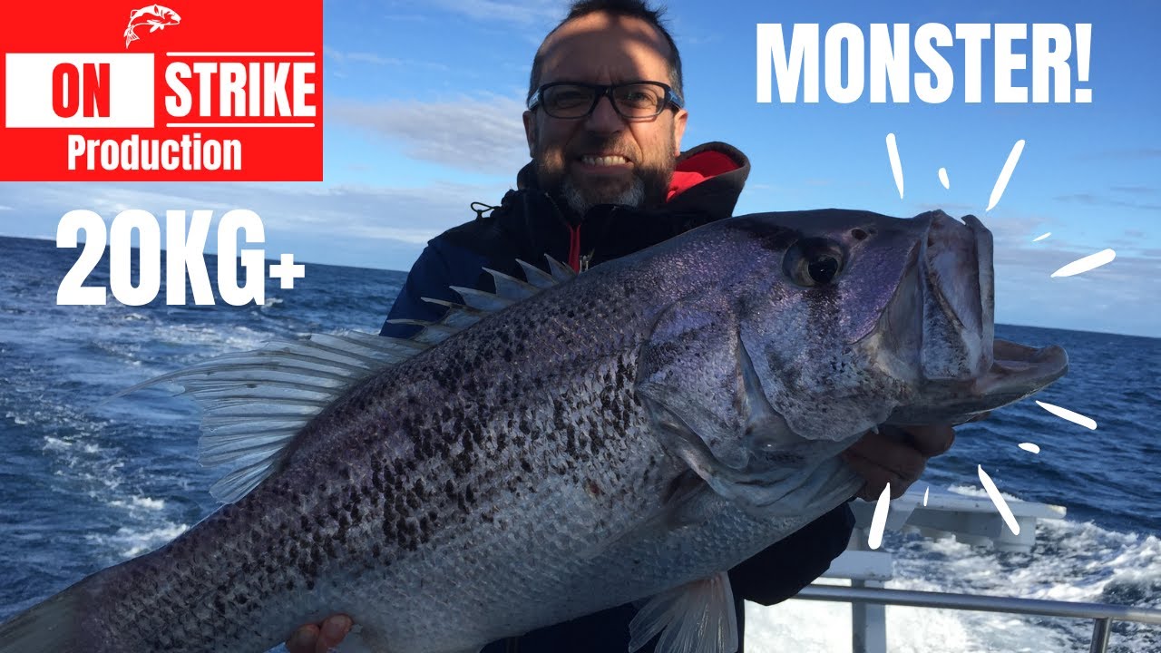 Monster Samson & Dhufish - Cervantes - July 2017 - With Lobster Shack Charter