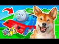 This Might Be The Best Thomas Roblox Game!