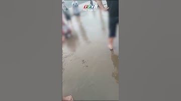 NGƯ DÂN KỊP THỜI CỨU 4 DU KHÁCH ĐUỐI NƯỚC #shortvideo #shorts