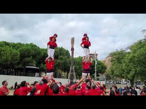 Castellers de Barcelona: 2 pilars de 4 - Festa Major de la Verneda (11/11/2023)