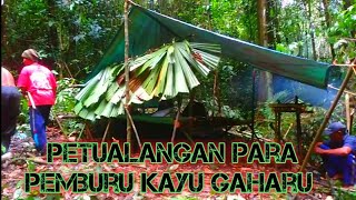 Adventures of Agarwood Hunters in the Forest Part 1 #camping #gaharu #agarwood #campinginforest