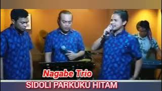 COVER SIDOLI PARKUKU HITAM NAGABE TRIO VERSI LAMA