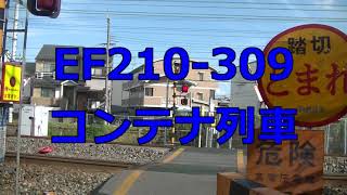 EF210-309 & レアなコンテナ