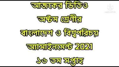 class 8 16 th week bgs assignment