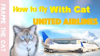 How to fly with your cat/ dog on United Airlines  Balinese cat goes to Yellowstone National Park