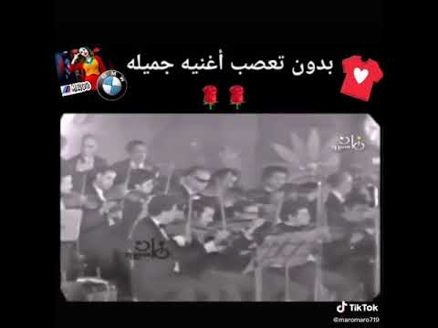 الفنان وائل أبو بكر مع الفنانة ليلى نظمي في حفل النادي الأهلي سنة 1972