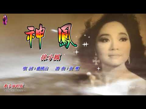 神鳳   徐小鳳〈歌手演唱版〉
