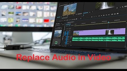 How to Replace Audio in A Video