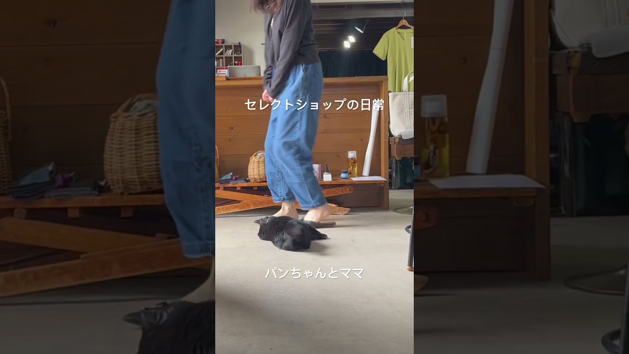 ねこママちゃんセレクト