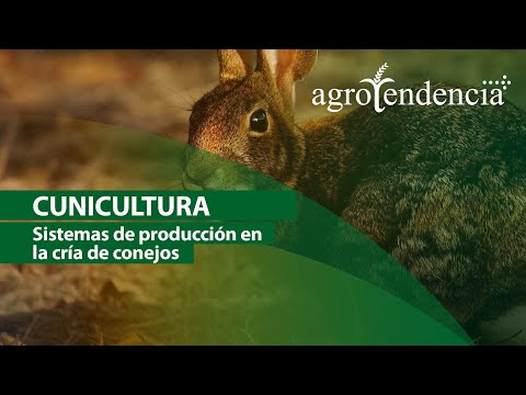 Video: Valoración de empresas. Brevemente sobre objetivos y enfoques