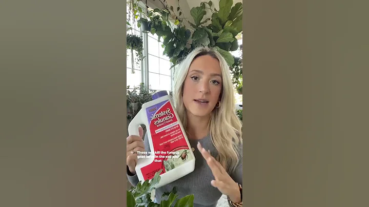 Get rid of FUNGUS GNATS for good!