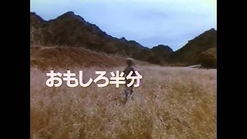 パンプキンヘッド 日本劇場予告編