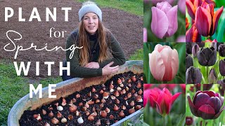 Top Tips to Plant Tulips (spacing, layering,  protection & more)Plant Spring bulbs with me