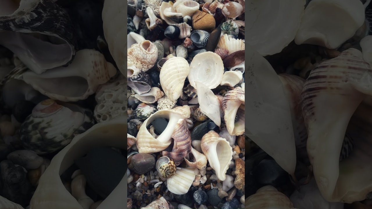 From coast to country—10 seconds of NSW wonders. #