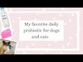 Cat&#39;s Canines ~ My Favorite Probiotic for Dogs &amp; Cats