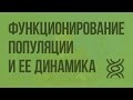 Функционирование популяции и динамика ее численности в природе. Видеоурок по биологии 9 класс