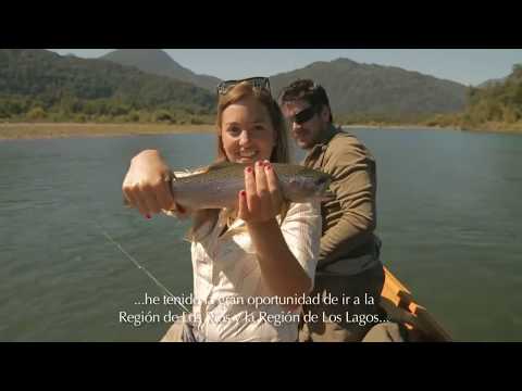 Los Ríos y Los Lagos de Chile - Unravel Travel TV