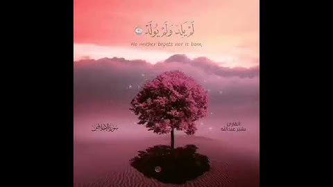 سورة الأخلاص - ثلث القرآن /حالات وتساب/ اسلامية