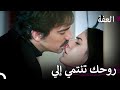 لا يتخلى جميل عن عفت عف ت لا يتخلى جميل عن عفت عف ت