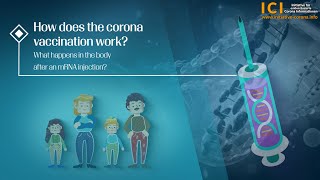 Mechanism of Action of the Corona Vaccine by Dr. Christian Fiala