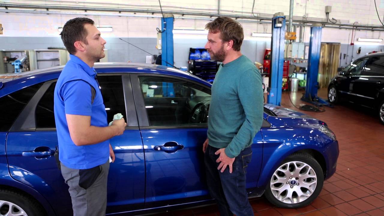 ford dealership indianapolis Ford Motorcraft Car Care Tips - Bird Droppings
