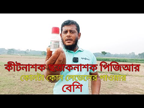 pix katta eshak katta kokraklar tombul hd xxx