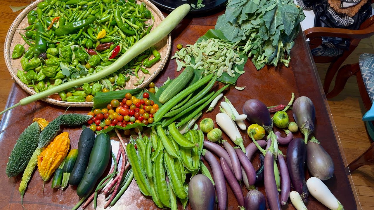 Cincinnati kitchen garden update: A Bountiful  harvest 🙏🙏🙏
