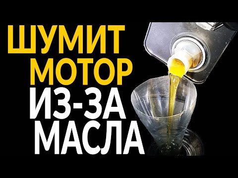 Может ли ШУМЕТЬ мотор – ИЗ-ЗА МАСЛА